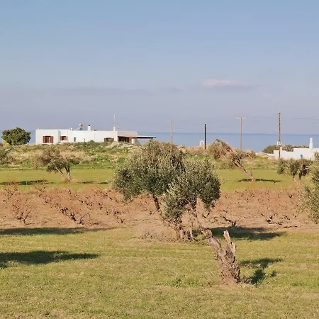 Villa Dionysos *